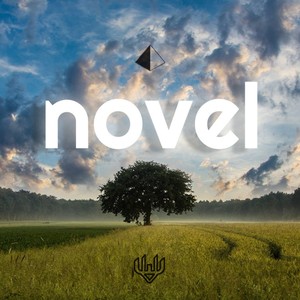 Novel