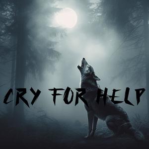 Cry For Help (feat. GordoKamm) (Explicit)