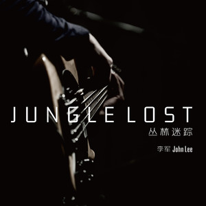 Jungle Lost 丛林迷踪