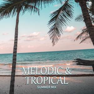 Melodic & Tropical Summer Mix