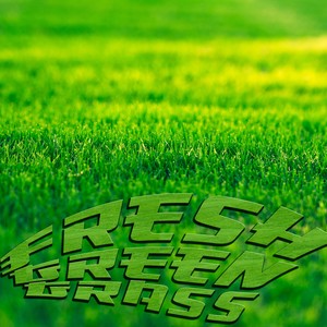 Fresh Green Grass