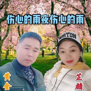 伤心的雨夜伤心的雨