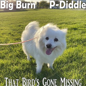 That Bird's Gone Missing (feat. P-Diddle) (Explicit)
