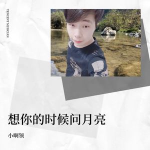 想你的时候问月亮