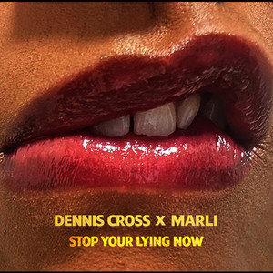 Stop Your Lying Now (Lovers Rock)