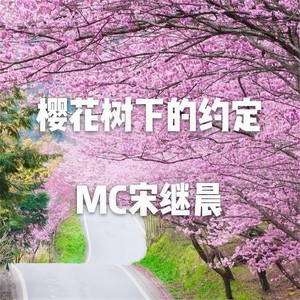 樱花树下的约定 (咚鼓版)