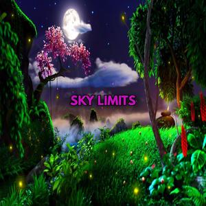 Sky Limits