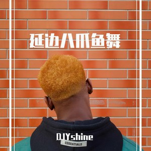 FFAG-Greg Parys-Why Don't We Just (延边八爪鱼) (DJYshine / FFAG remix版)