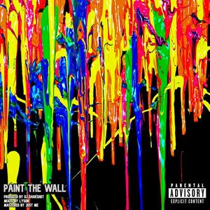 Paint the wall (feat. Dj darkshot ) [Explicit]