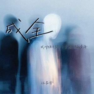 成全 (我对你付出的青春这么多年)