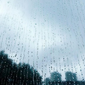 【白噪音】树林美丽的雨声和雷声/极度舒适雨声/睡眠/放松/治疗/学习/助眠/入睡/减压/asmr10 (Inst.)