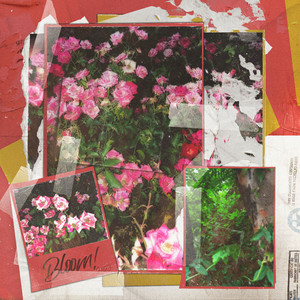 서화 (flowers)