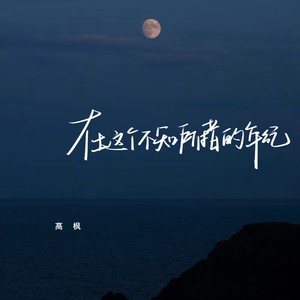 在这个不知所措的年纪