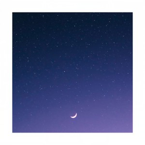 Fireflies (Intro)