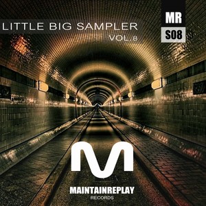 Little Big Sampler Vol. 8