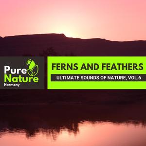 Ferns and Feathers - Ultimate Sounds of Nature, Vol.6