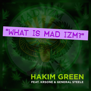 What Is Mad Izm? (feat. KRS-One & General Steel)