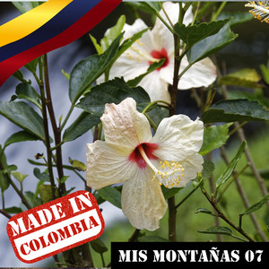 Bésame Morenita