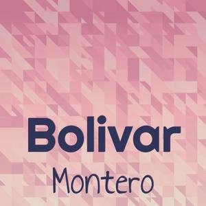 Bolivar Montero