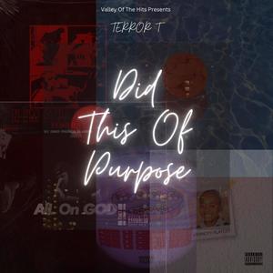 Did This Of Purpose (Explicit)