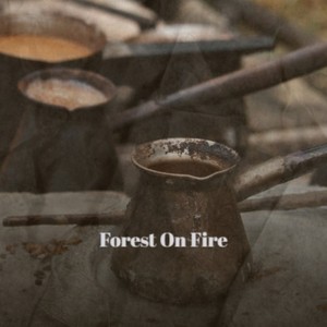 Forest On Fire