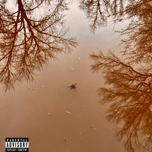 essence (feat. DRSK) (Explicit)