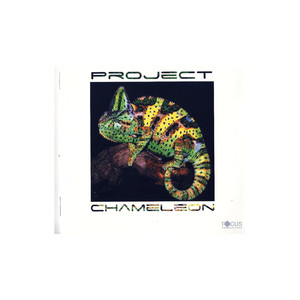 I'm So Sorry I Just Got It Wrong