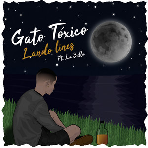 Gato Tóxico