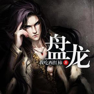 伍壹先生 - 盘龙 010