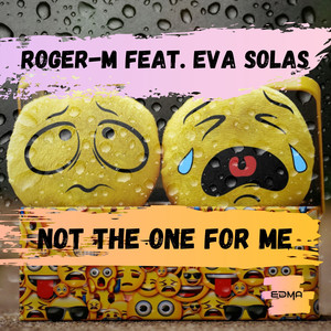 Not The One For Me (Original Mix)