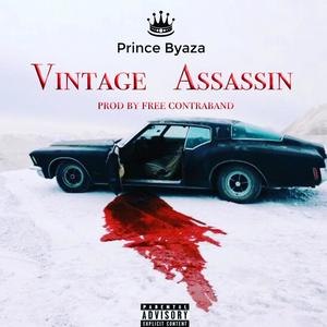 Vintage Assassin (Explicit)