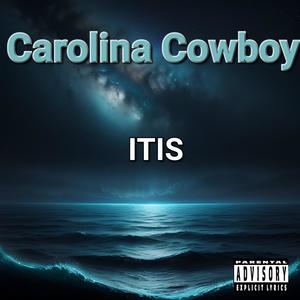 ITIS (Explicit)