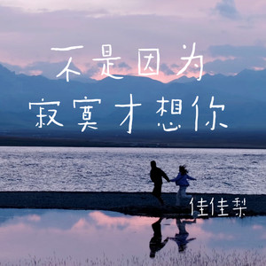 不是因为寂寞才想你 (看云水漂流看着落叶被带走)