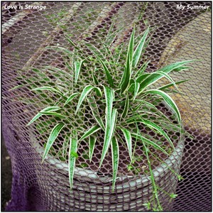 이예린 - 사람은 이상하고 사랑은 모르겠어 (2024 Ver.)