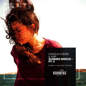 Summer Breeze (Southern Tier Remix)