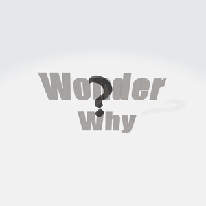 Wonder Why (Explicit)