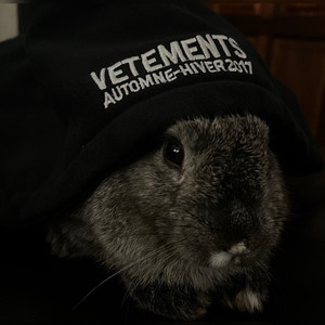 Bonnie Blue (Explicit)