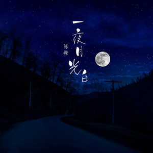 一夜月光白