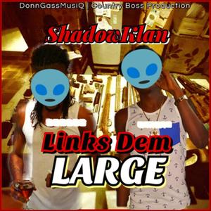 Links Dem Large (feat. Donn Gass) [Explicit]