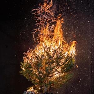 Wish List (Explicit)