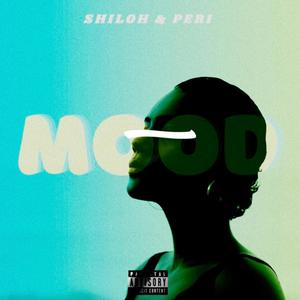 MOOD (feat. Lil Peri) [Explicit]