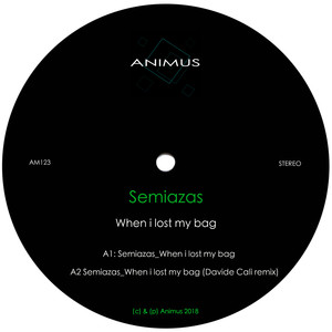 When I Lost My Bag (Original Mix)