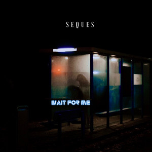 Wait for Me