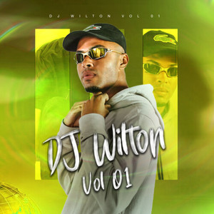 Wilton, Vol.1 (Explicit)