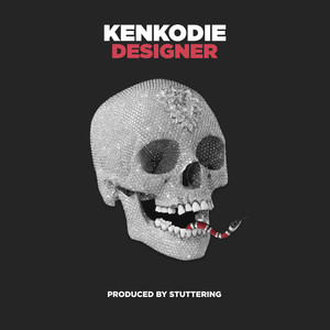 Designer (Explicit)