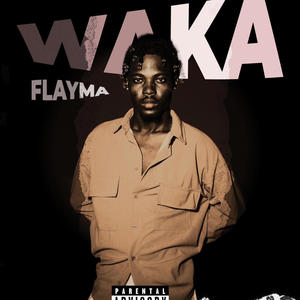 Waka