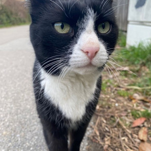 Sauce Real (Mf) Hard 16*29 (Explicit)