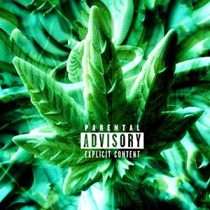 Reefer (feat. Danny Bhapo) [Explicit]