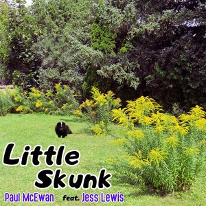 Little Skunk