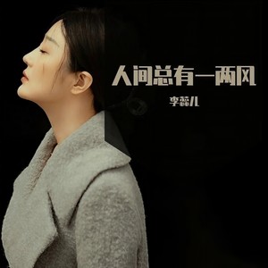 人间总有一两风 (DJ九零版)